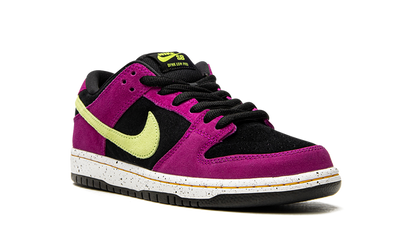 Nike SB Dunk Low ACG Terra Red Plum
