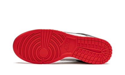 Nike Dunk Low NBA